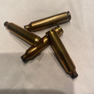 .204 Ruger Brass